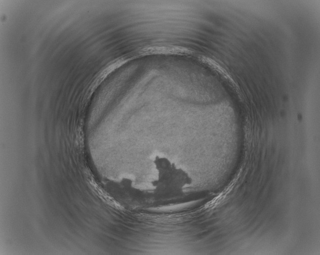 X0000062141025200601060918