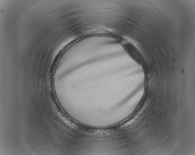 X0000062141026200601060918