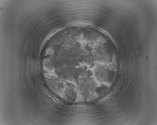 X0000062141027200601060918