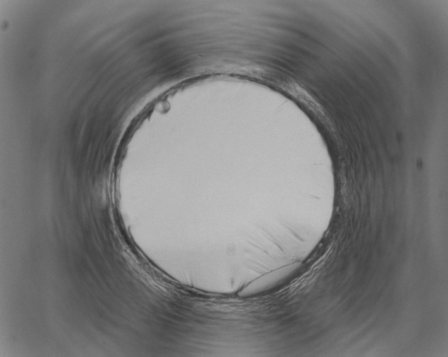 X0000062141028200601060918