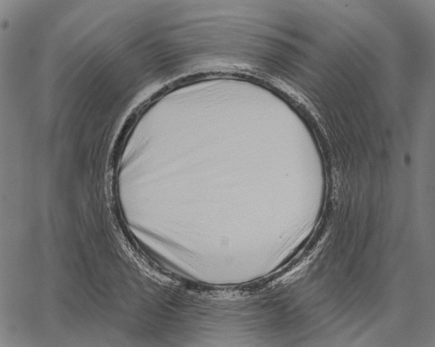 X0000062141029200601060918