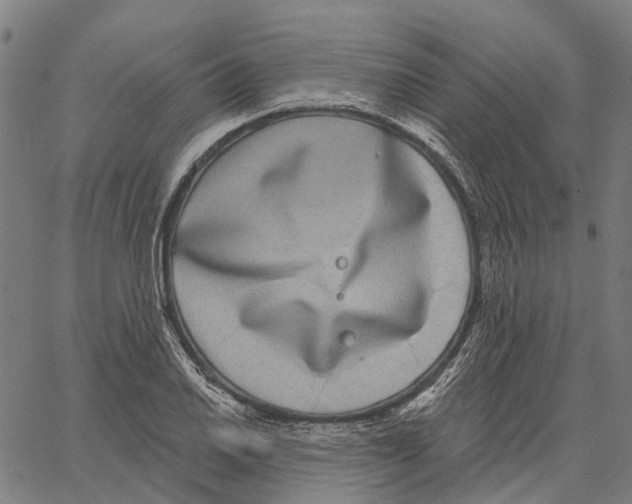 X0000062141030200601060918