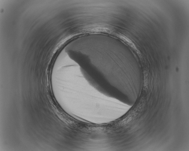 X0000062141031200601060918