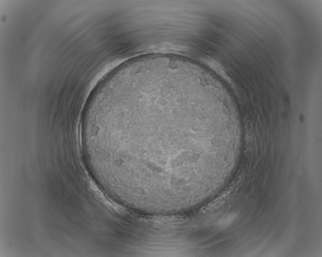 X0000062141032200601060918