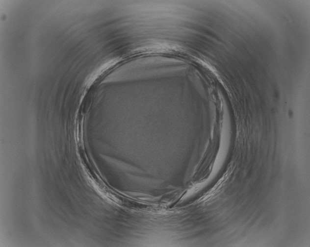 X0000062141034200601060918