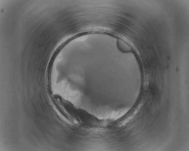 X0000062141037200601060918