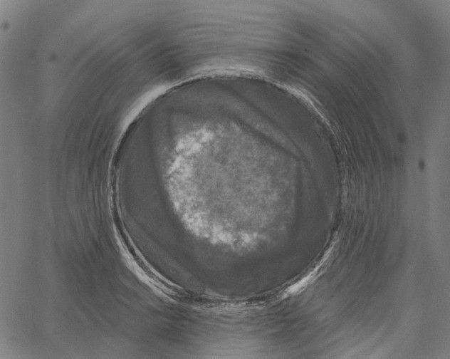 X0000062141038200601060918