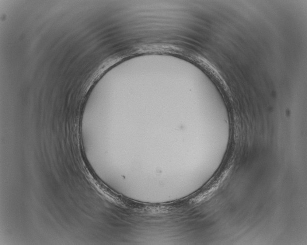 X0000062141041200601060918