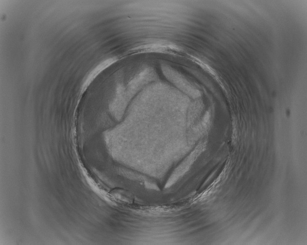 X0000062141042200601060918