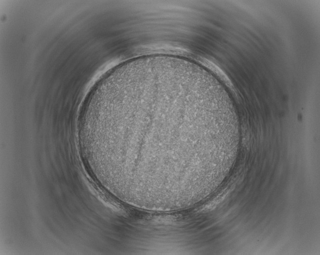 X0000062141043200601060918