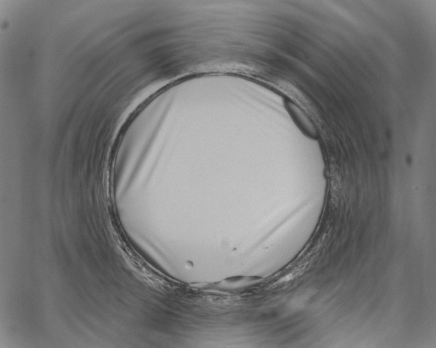 X0000062141044200601060918