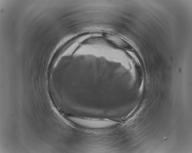 X0000062141045200601060918