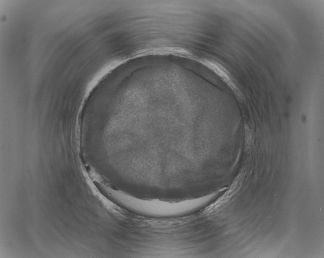 X0000062141046200601060918