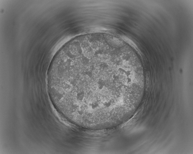 X0000062141047200601060918