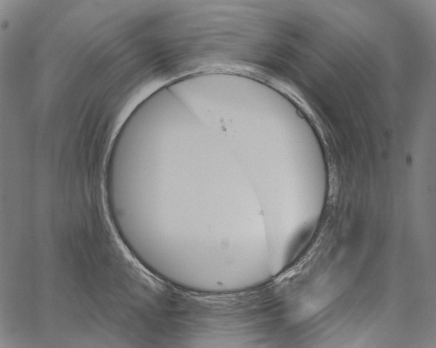 X0000062141048200601060918