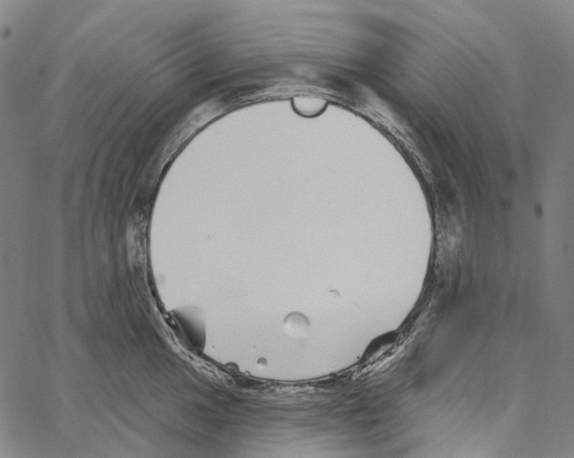 X0000062141049200601060918