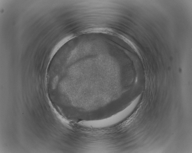 X0000062141050200601060918