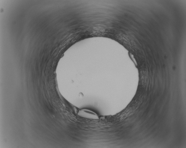 X0000062141057200601060917