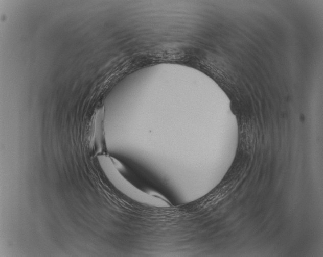 X0000062141058200601060917