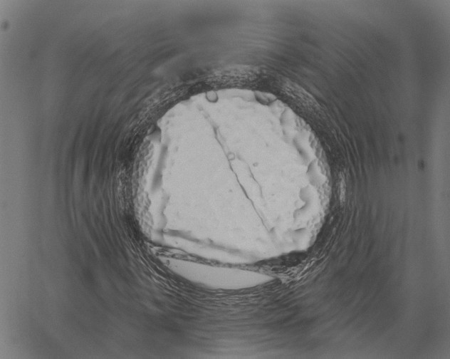 X0000062141059200601060917