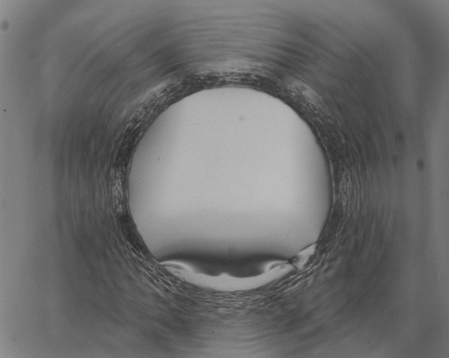 X0000062141062200601060917