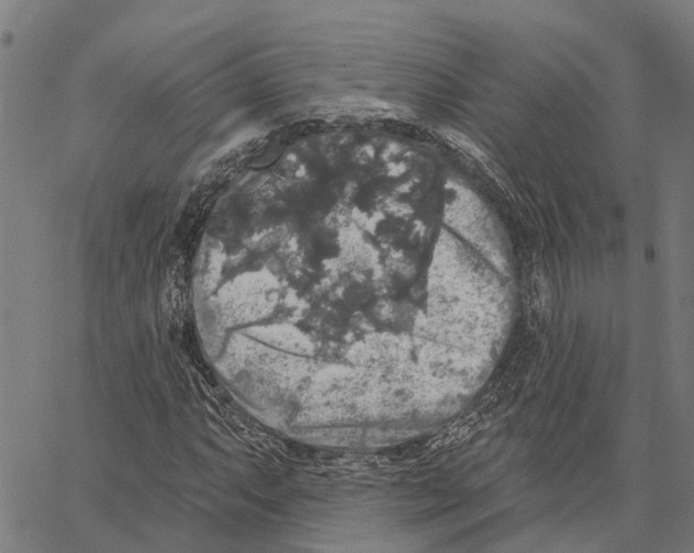 X0000062141063200601060917