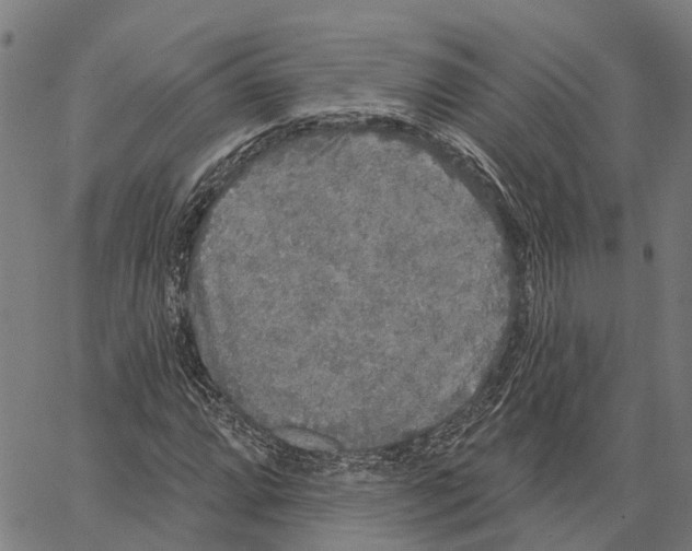 X0000062141064200601060917