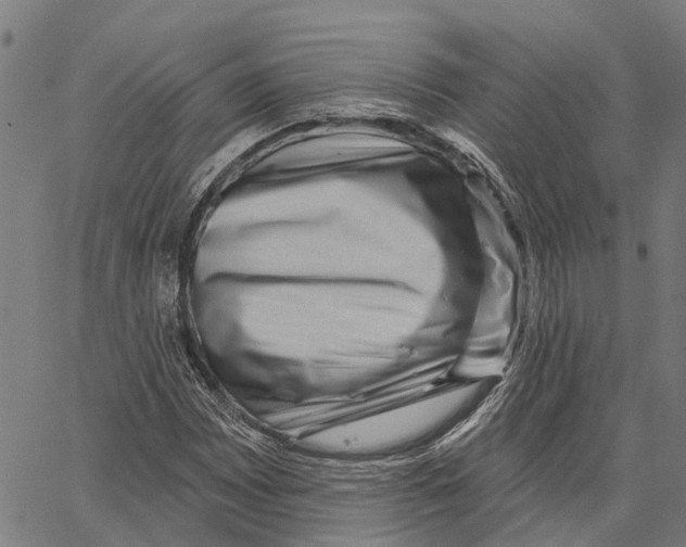 X0000062141065200601060917