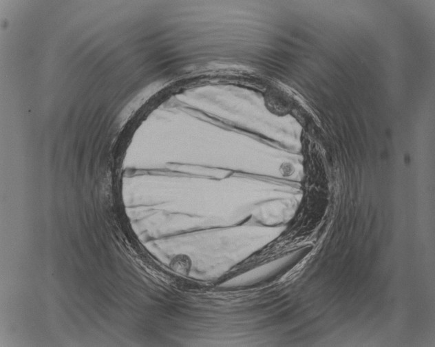 X0000062141066200601060917