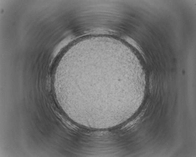 X0000062141067200601060917