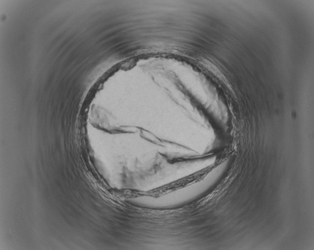 X0000062141068200601060917