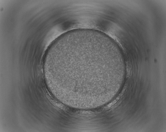 X0000062141070200601060917