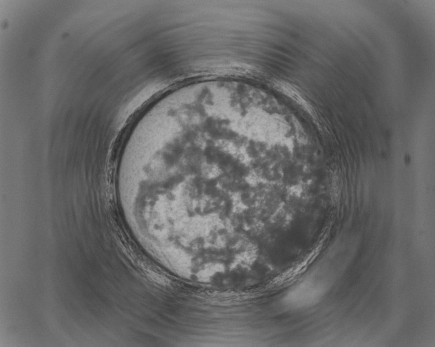 X0000062141071200601060917