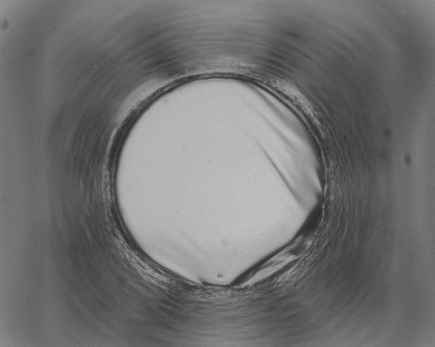 X0000062141072200601060917