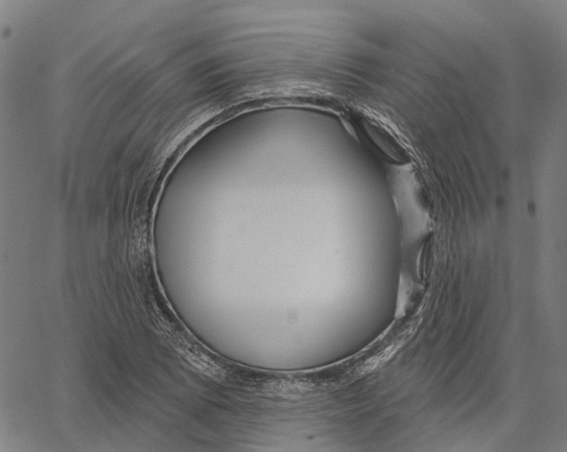 X0000062141073200601060917