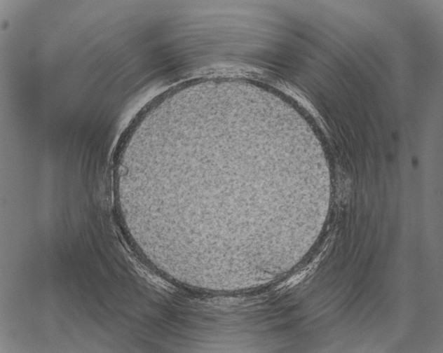 X0000062141075200601060917