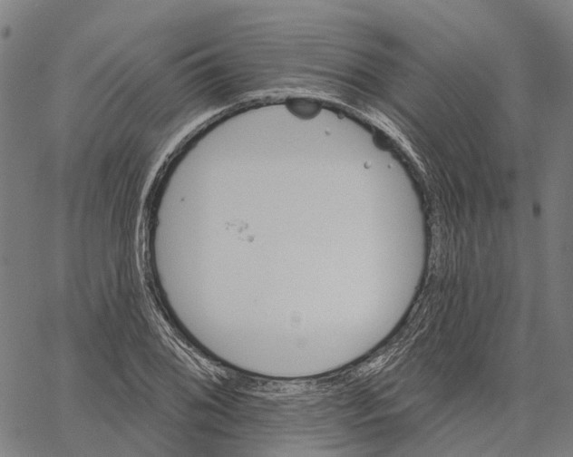 X0000062141076200601060917