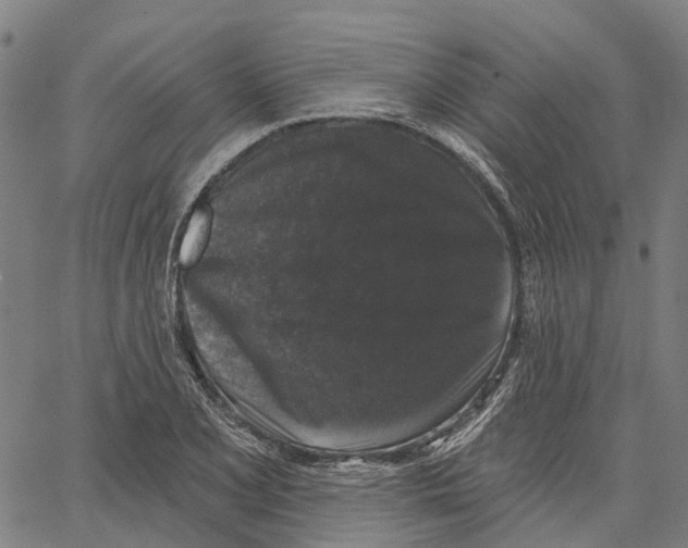 X0000062141077200601060917