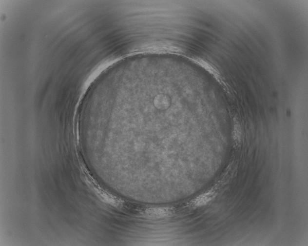 X0000062141078200601060917