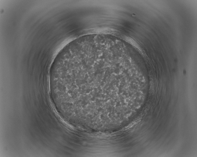 X0000062141079200601060917