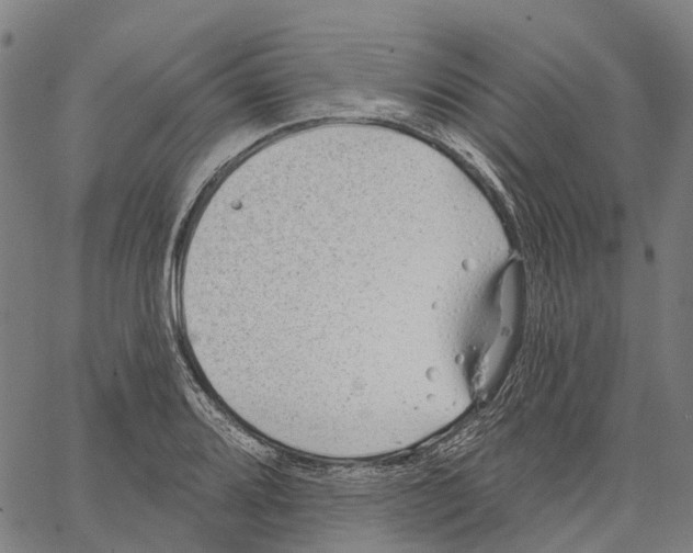 X0000062141080200601060917