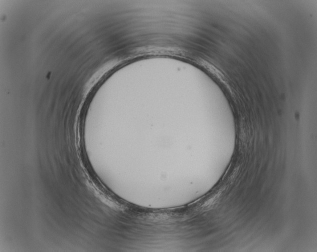 X0000062141082200601060917