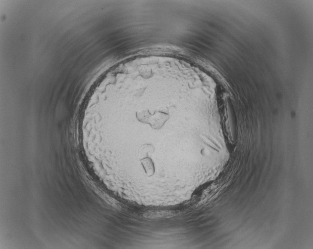 X0000062141083200601060917