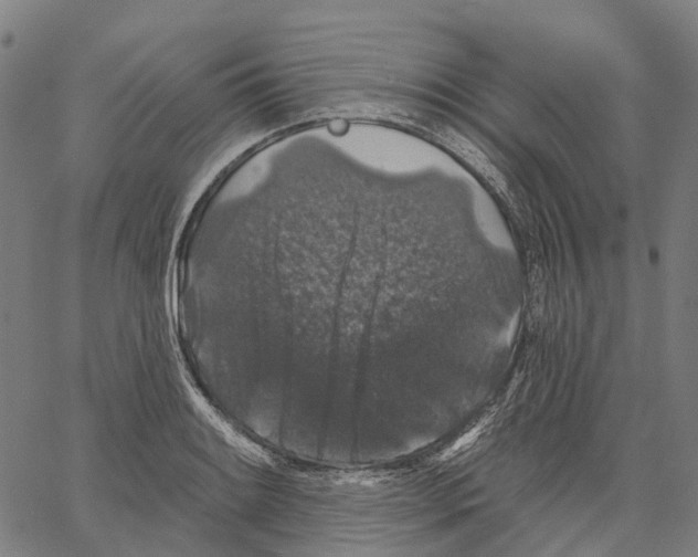 X0000062141084200601060917