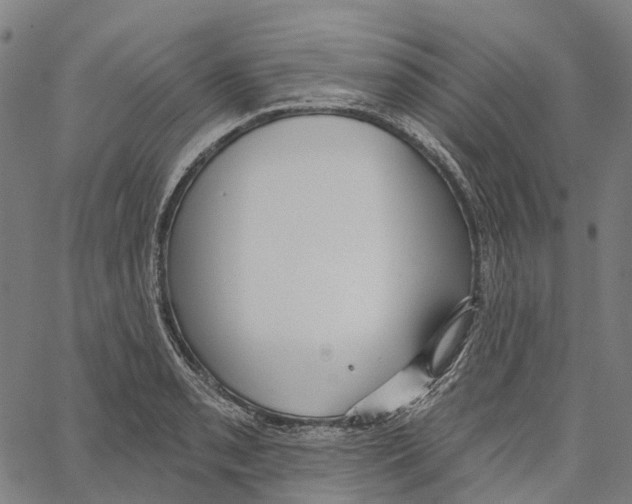 X0000062141085200601060917