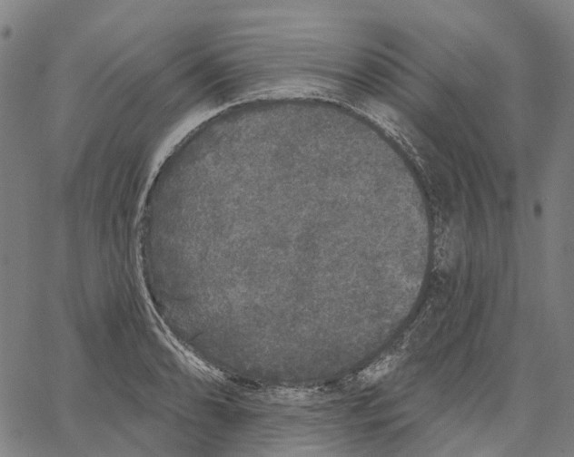 X0000062141086200601060917