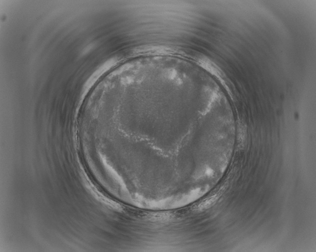 X0000062141090200601060917