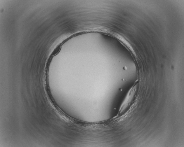 X0000062141093200601060917