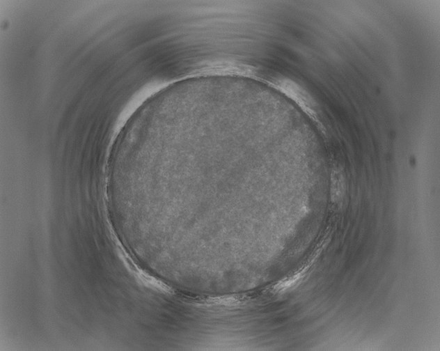 X0000062141094200601060917