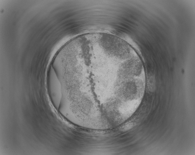 X0000062141096200601060917